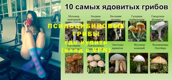 apvp Арсеньев