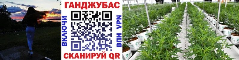 Каннабис LSD WEED  магазин  наркотиков  Тара 